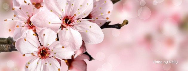 Made by Nelly, Bijouterie Fantaisie à Saint-Denis-de-Pile