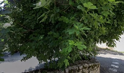 Josepha bijoux Artisanaux, Bijoutier à Saint-Alban-Auriolles