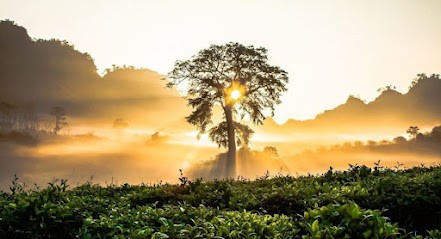 Eden Del Lobo, Bijouterie Fantaisie à Saint-Germain-Nuelles