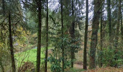 Bijoux, Atrappe-reves En Peintures De Bettina Rombout, Joaillier à Quistinic