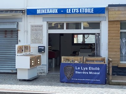 Le Lys Etoilé, Bijouterie Fantaisie à Saint-Jean-de-Monts
