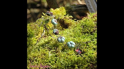 Tenshi Akuma - Créations de bijoux en tissus, Bijouterie Fantaisie à Westhouse