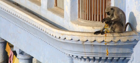 Aux Pays Des Merveilles, Bijouterie Fantaisie à Bayeux