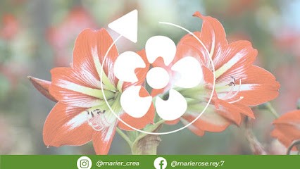 Marie-créa, Bijouterie Fantaisie à Aurec-sur-Loire