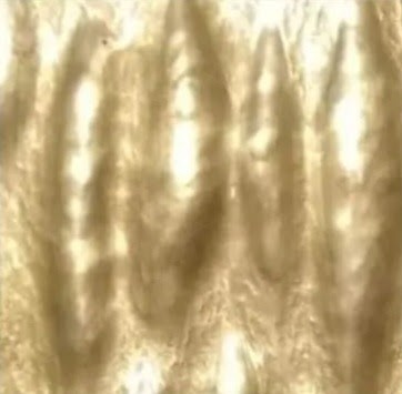 Gwenaelle Madrange, Bijouterie Fantaisie à Langoëlan