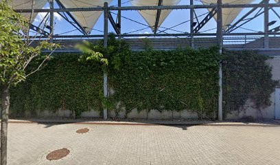 CLEOR, Bijoutier à Houdemont