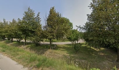 Mademoiselle Bibelot, Bijouterie Fantaisie au Thor