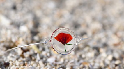 Le Petit Jardin Bijoux, Bijouterie Fantaisie à Servon-sur-Vilaine