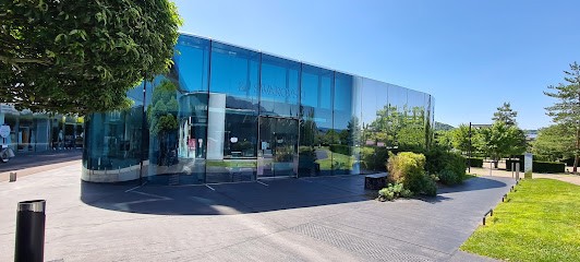 Swarovski, Bijoutier à Moulins-lès-Metz