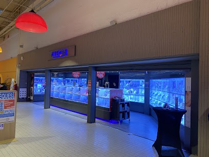 CLEOR, Bijoutier à Coudekerque-Branche