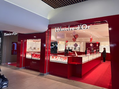 Histoire d'Or, Bijoutier à Chasse-sur-Rhône